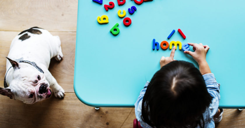 How Can Toys Contribute to Child Development?