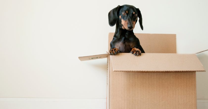 Tips for a Successful Move Across the State
